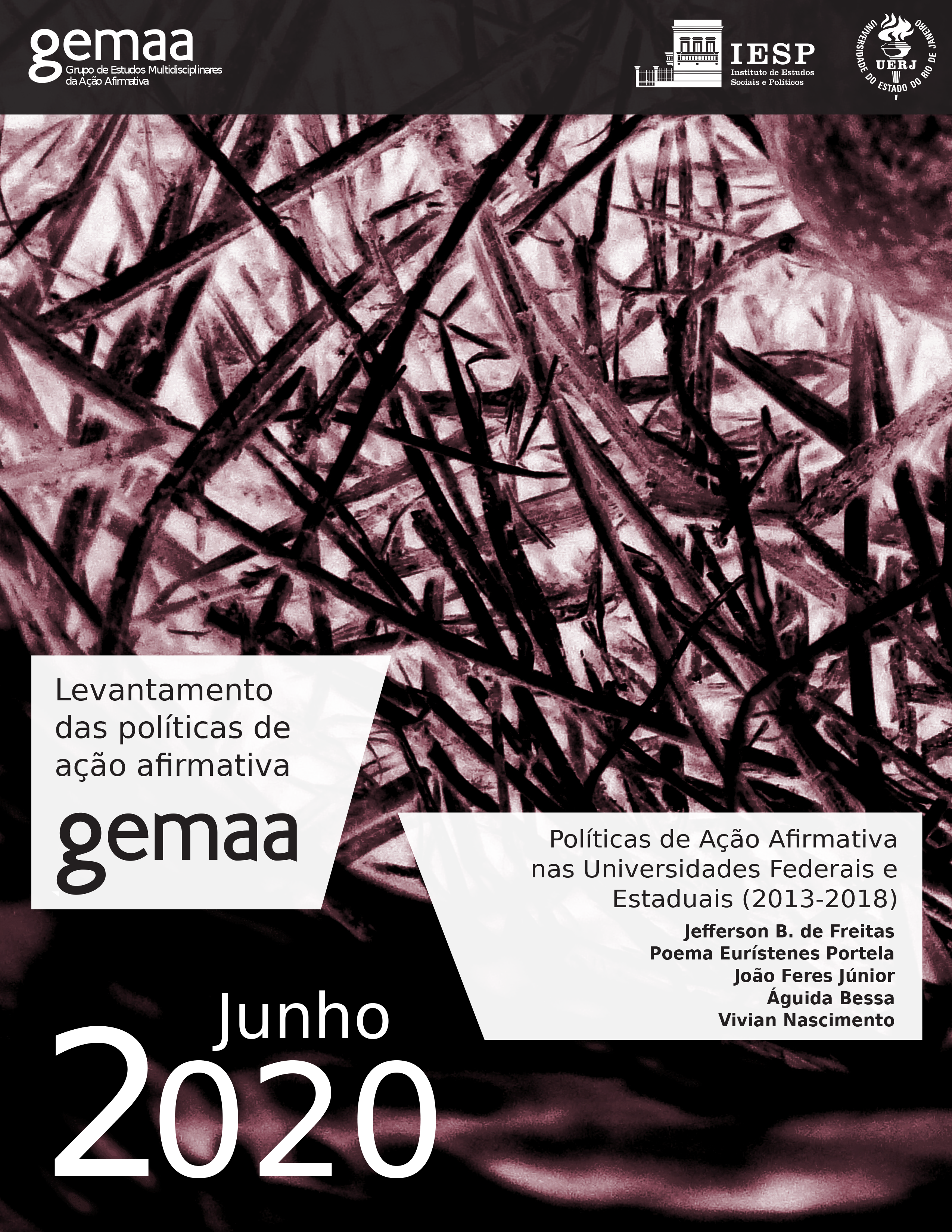 Capa do Levantamento das Levantamento das Políticas de Ação Afirmativa nas Universidades Federais e Estaduais 