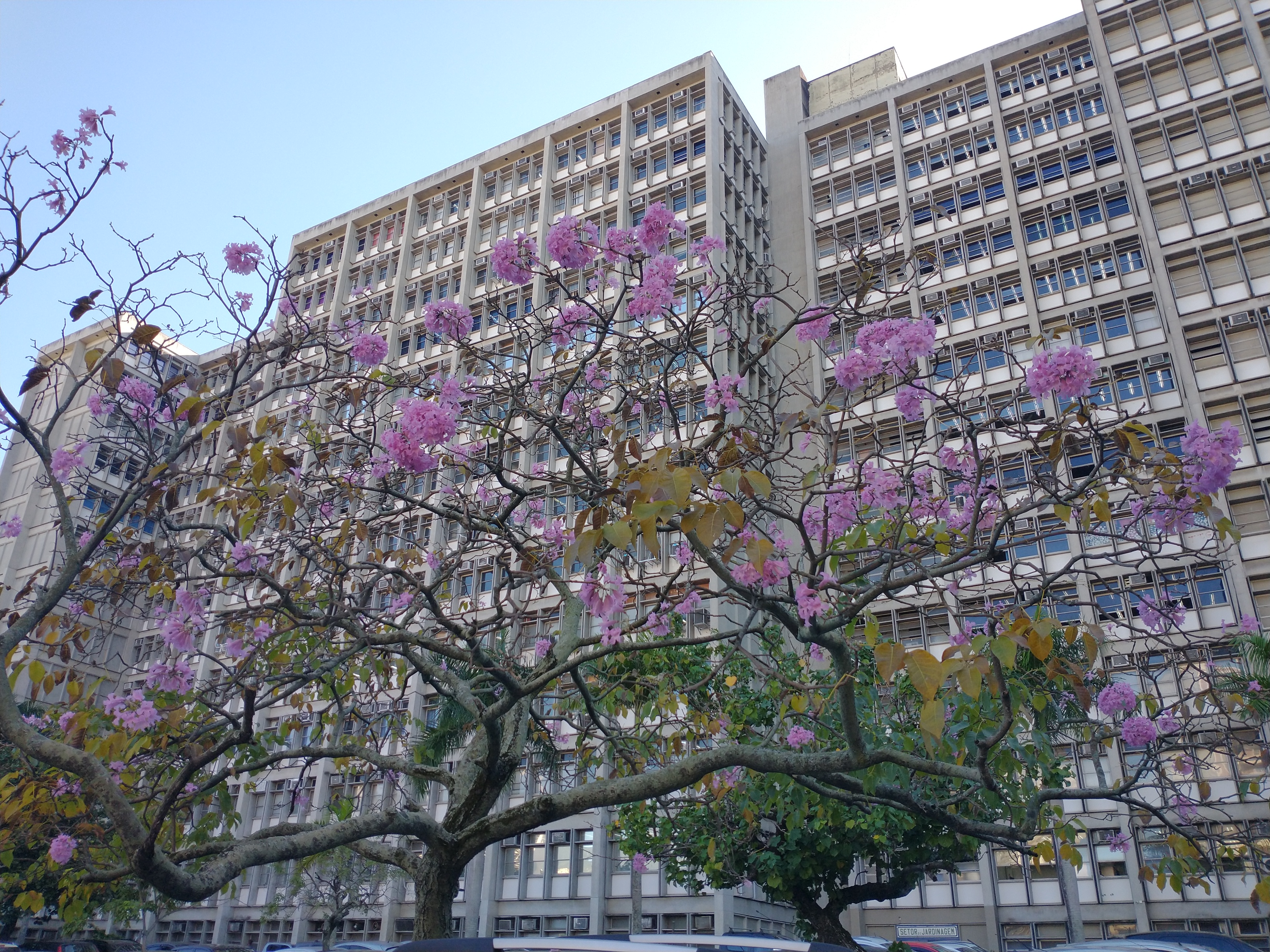 Obras interditam parte do estacionamento no Campus Maracanã - UERJ